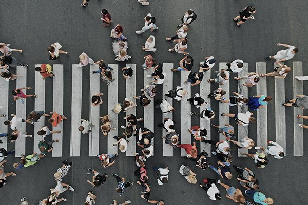 Közpolitika elemző cég